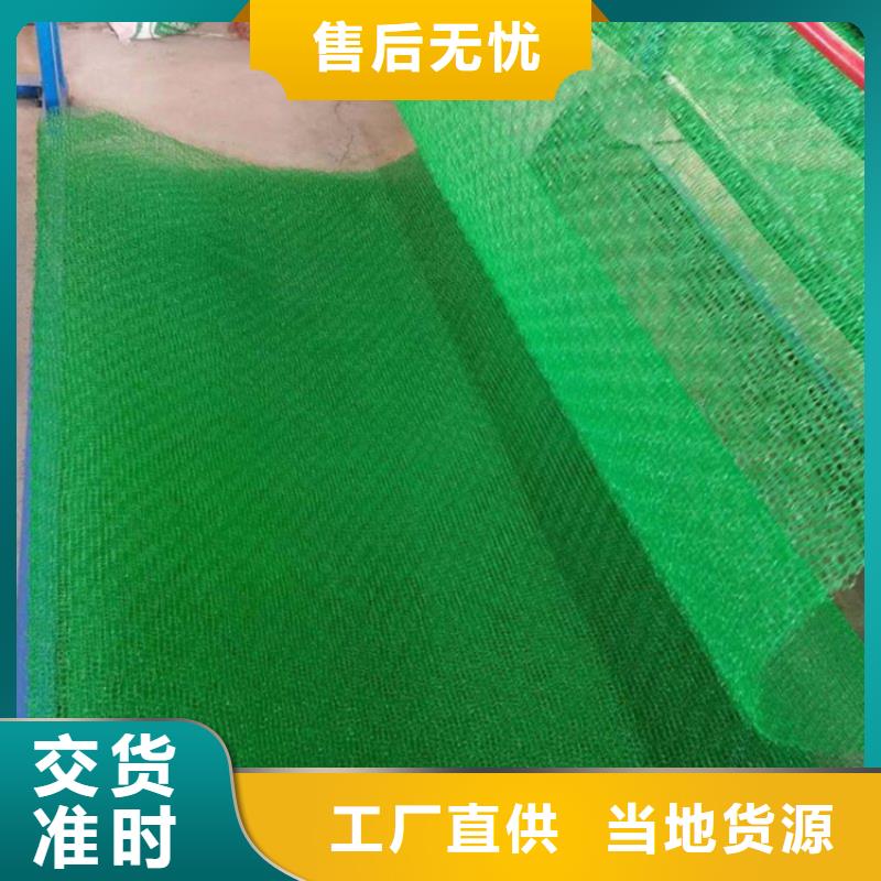 三维植被网编织布厂家实力大