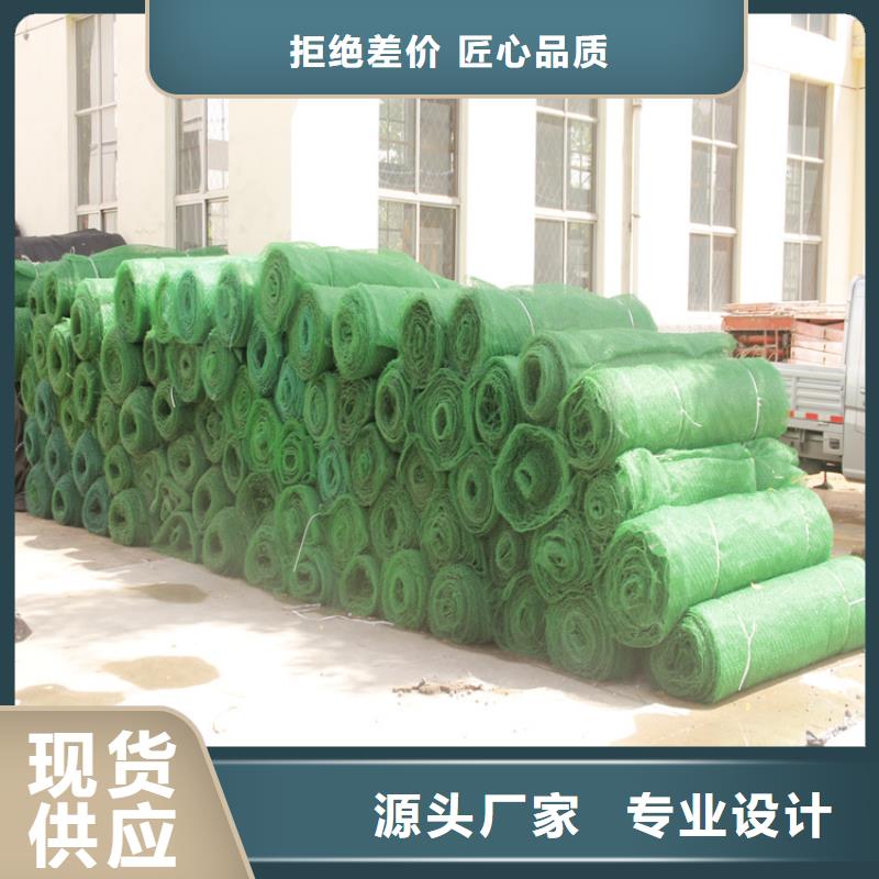 三维植被网聚酯布客户信赖的厂家