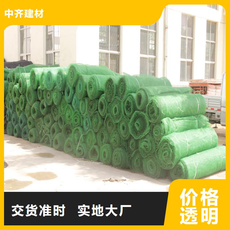 护坡加筋网垫-三维土工网施工方法