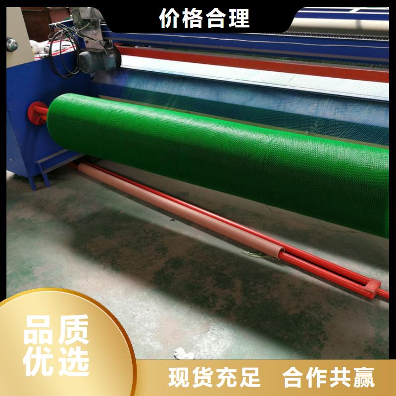 三维固土网垫-三维网垫本地批发