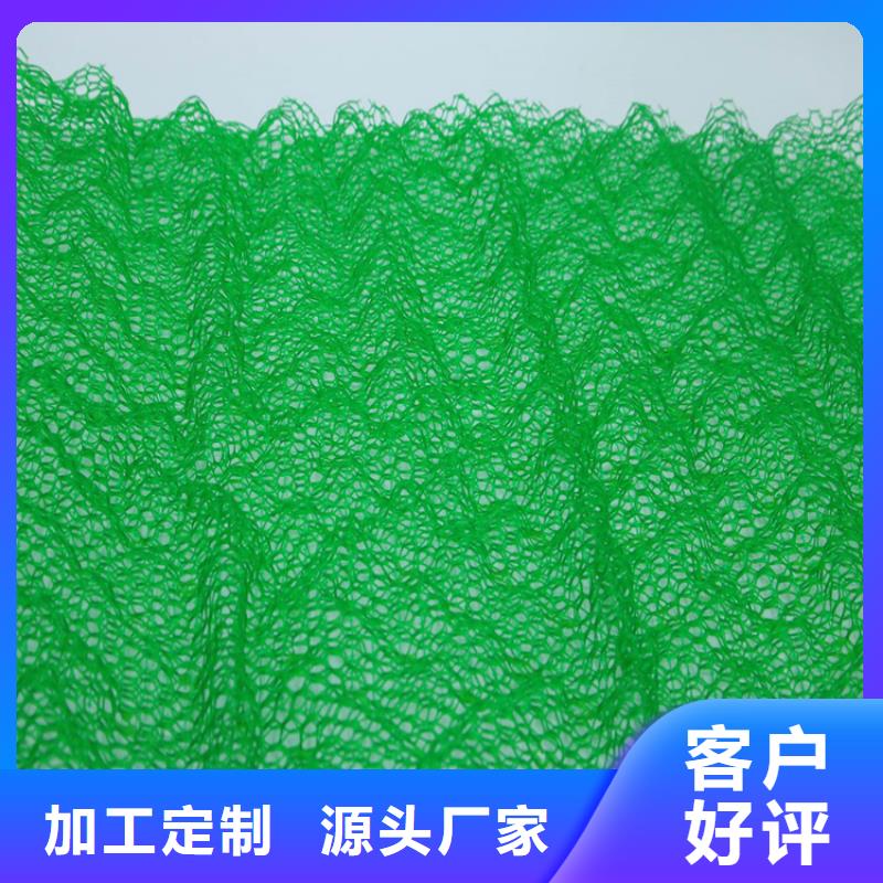 三维植被网矿用格栅支持定制加工
