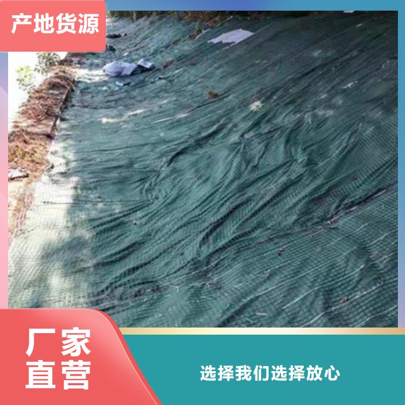 椰丝草毯-椰纤植生毯