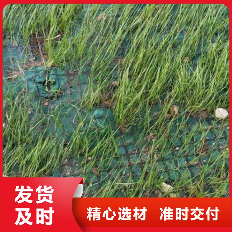 椰丝毯,涤纶格栅客户信赖的厂家