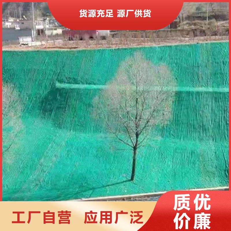 椰纤植生毯-加筋抗冲生物毯-抗冲刷生态毯