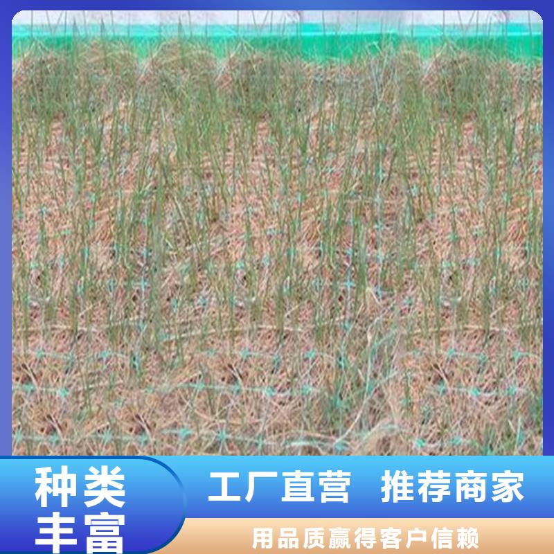 椰丝毯,土工膜真材实料