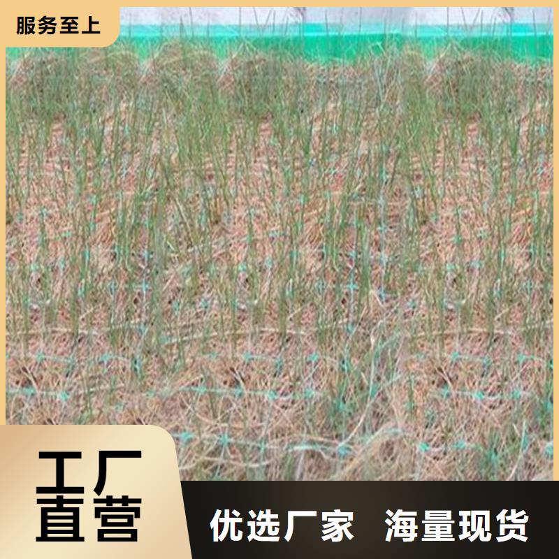 椰丝毯,涤纶格栅客户信赖的厂家
