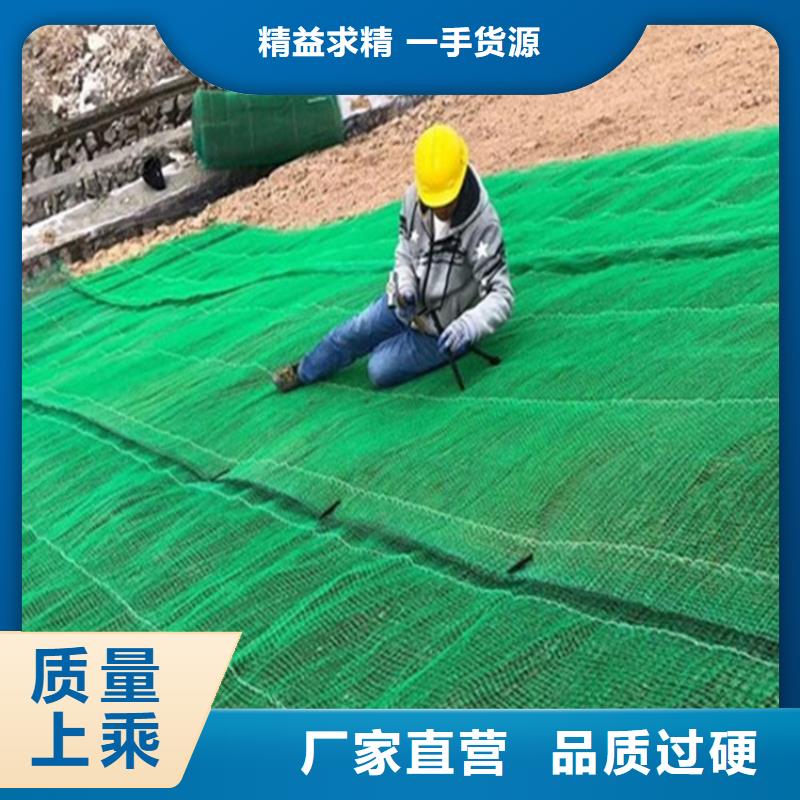【椰丝毯】-防渗膜品质保障价格合理_中齐建材(泸州市分公司)