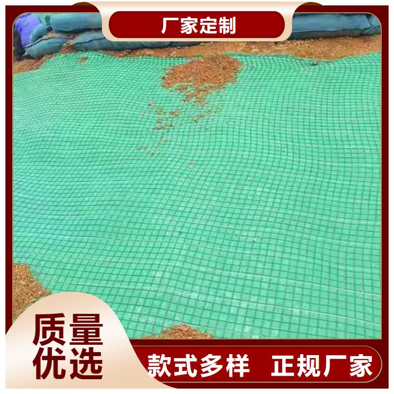 椰丝毯,涤纶格栅客户信赖的厂家