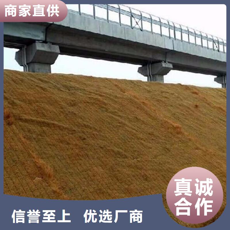 椰纤植生毯-加筋抗冲生物毯-抗冲刷生态毯