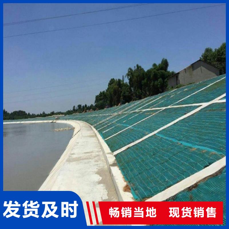 加筋抗冲生态毯-加筋防冲毯