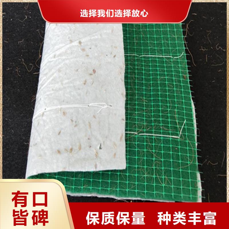 椰丝草毯-椰纤植生毯