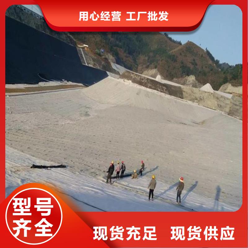 膨润土防水毯土工布大厂生产品质
