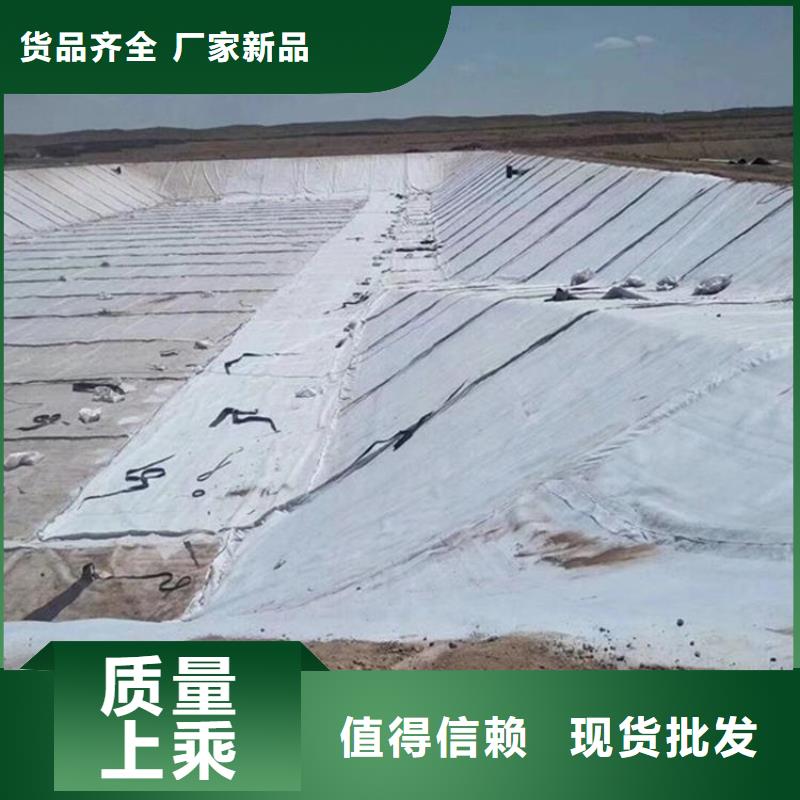 膨润土防水毯土工布大厂生产品质