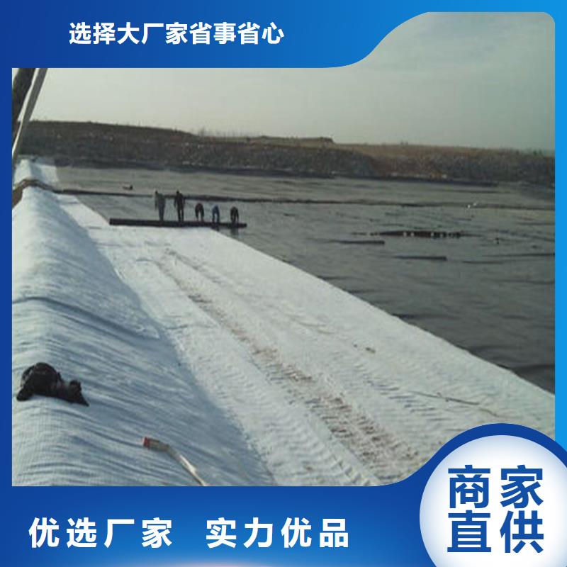 膨润土防水毯_HDPE土工膜实力优品