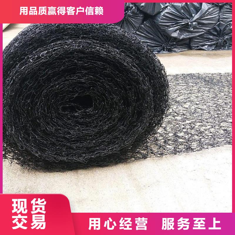 【中齐】出货及时【通风降噪丝网】 HDPE土工膜供您所需-二八商务