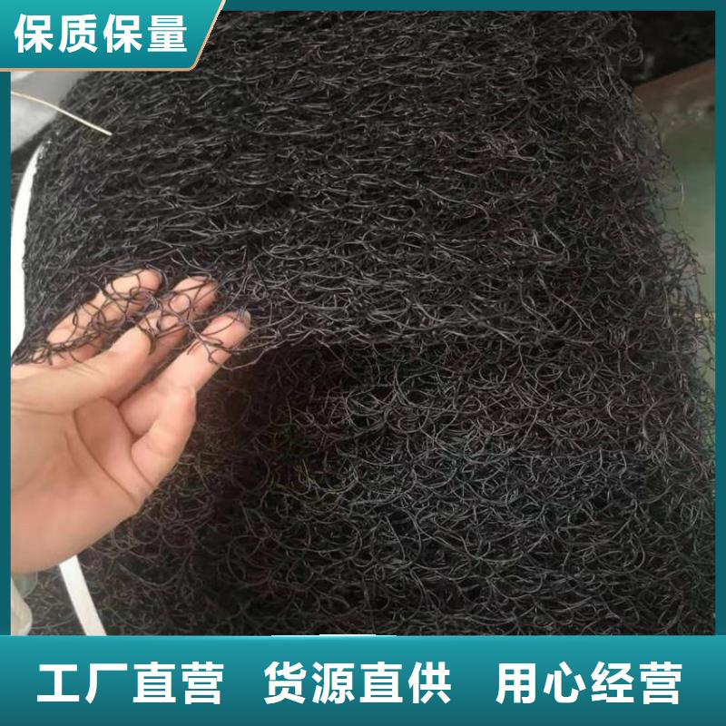 通风降噪丝网,钢塑土工格栅您身边的厂家