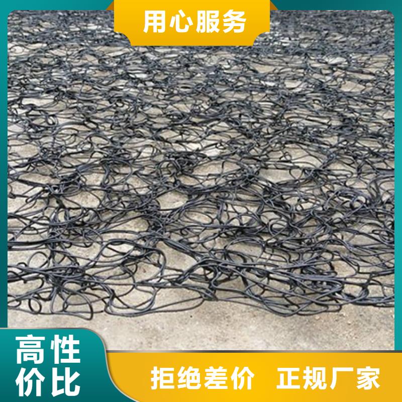 通风降噪丝网土工格栅货源报价