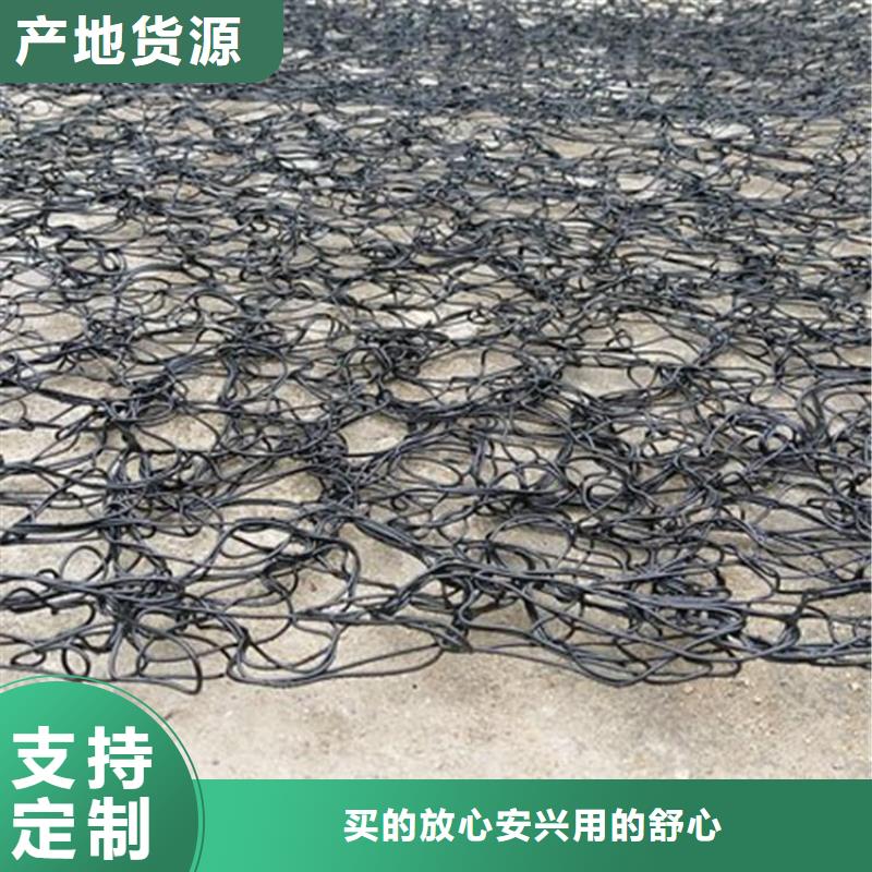 哪里有卖现货直供【通风降噪丝网】-双向塑料土工格栅用心做品质-本地厂家_供应案例