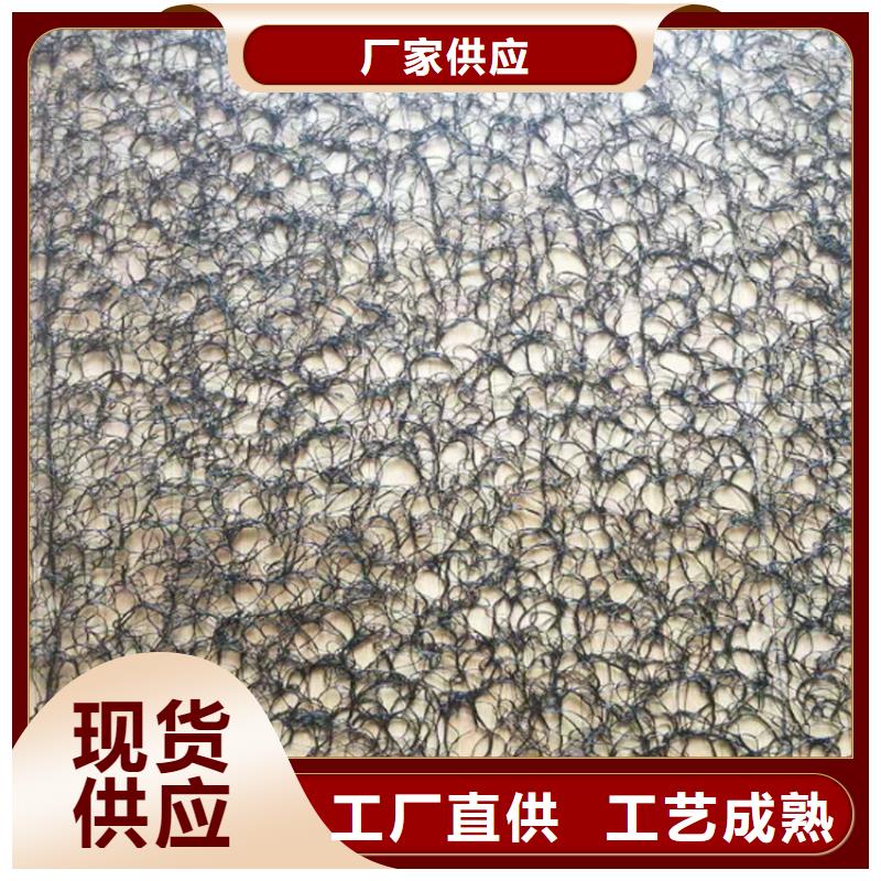 哪里有卖现货直供【通风降噪丝网】-双向塑料土工格栅用心做品质-本地厂家_供应案例