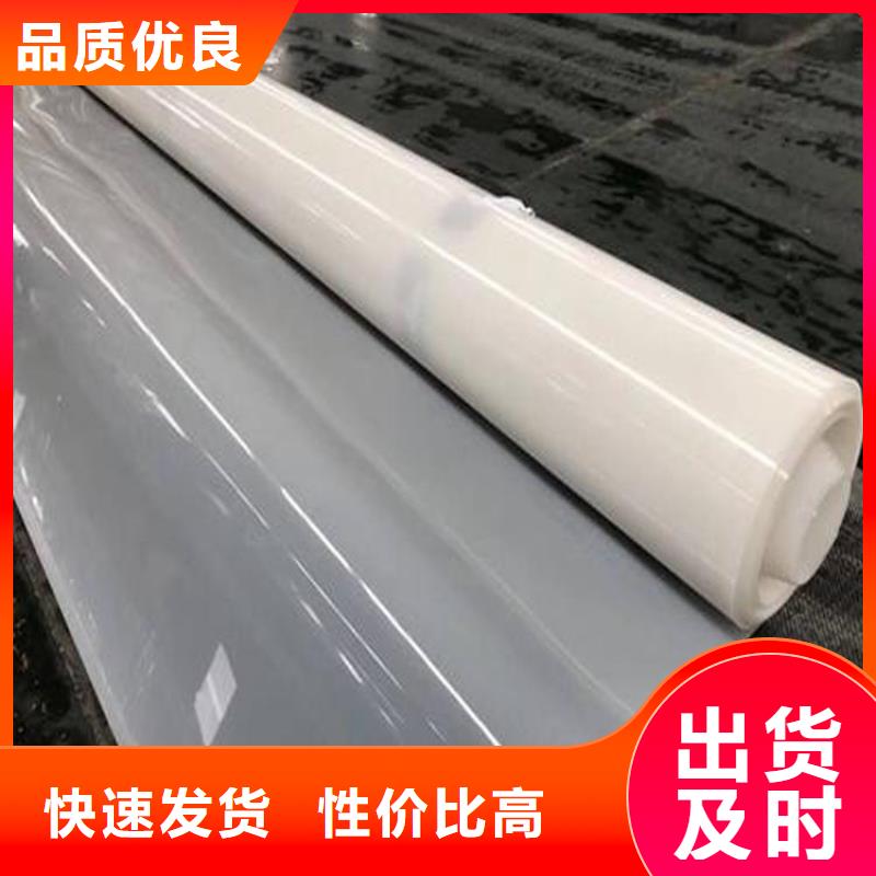 |乌兰察布|呼伦贝尔|阿拉善|包头中齐【 防水板 土工格栅拥有核心技术优势】