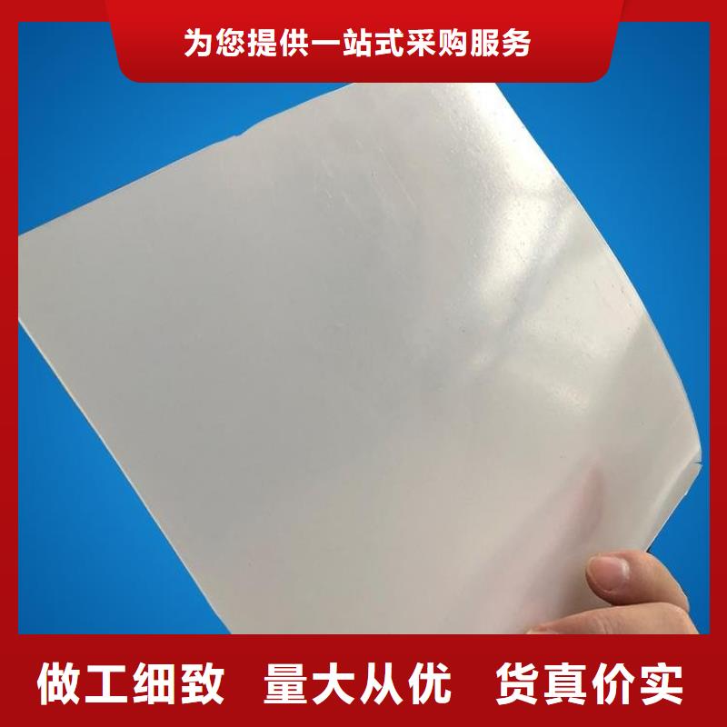 防水板防渗膜现货满足大量采购