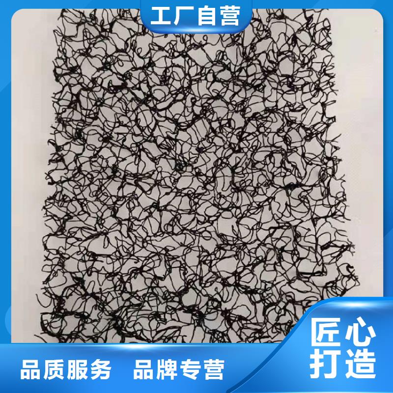 水土保护毯土工格栅厂家
