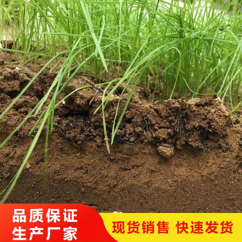 水土保护毯土工膜24小时下单发货