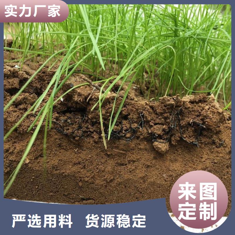 水土保护毯土工布经验丰富品质可靠