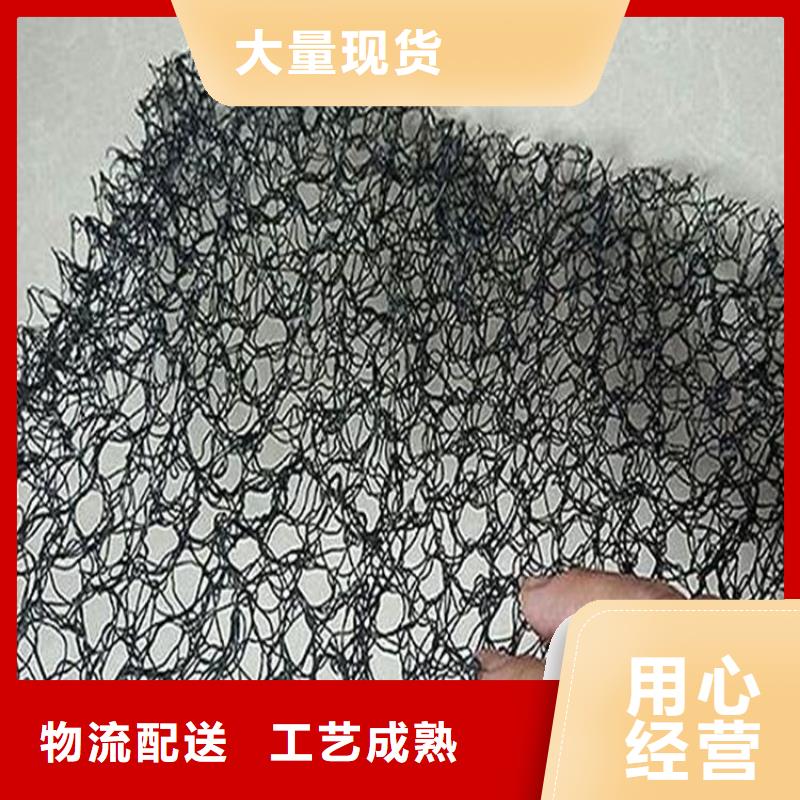 水土保护毯排水板专业生产品质保证