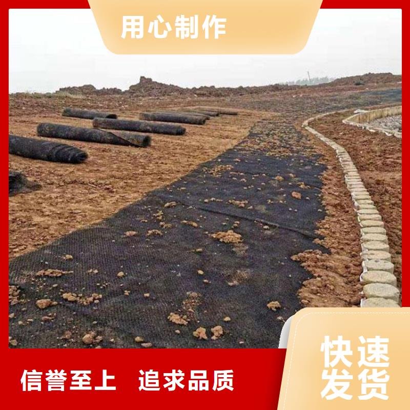 水土保护毯 【钢塑格栅】高品质诚信厂家|当涂|雨山|安庆|池州|蚌埠|亳州|黄山厂家