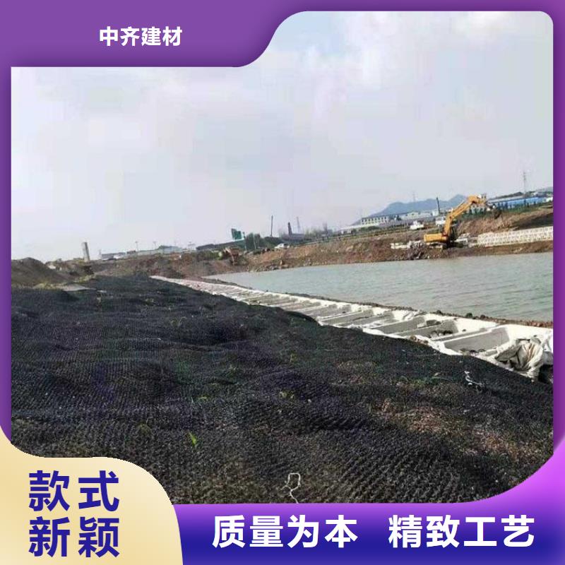 水土保护毯-排水板质量为本