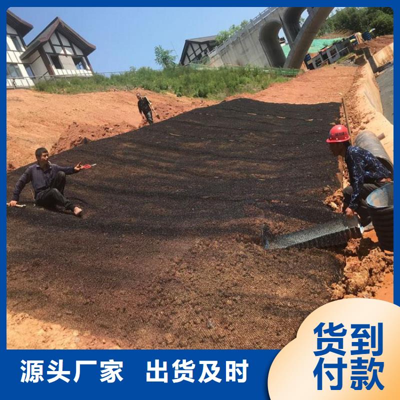 水土保护毯排水板专业生产品质保证