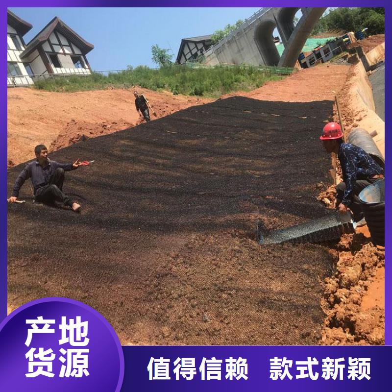 水土保护毯_塑料盲沟价格有优势