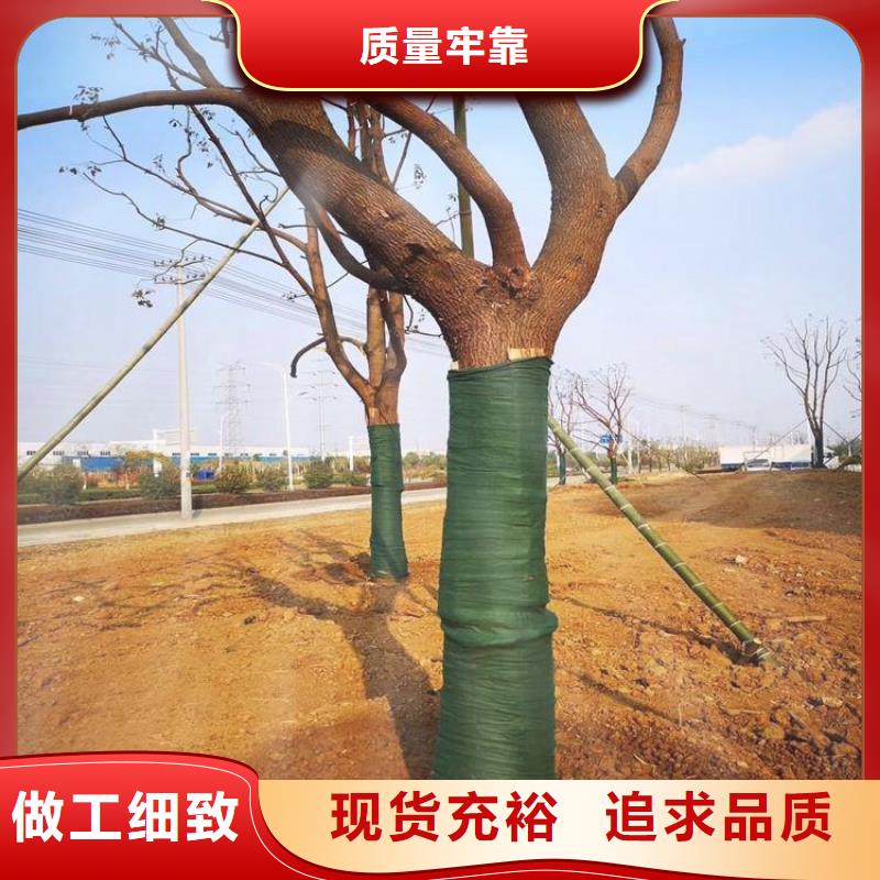 中齐橡胶支座【 裹树布土工布严选好货】28354.com