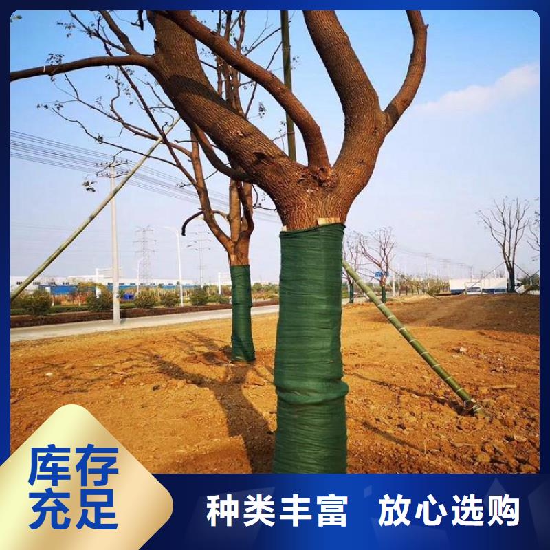 【 裹树布,HDPE土工膜保质保量】-中齐建材(安顺市分公司)