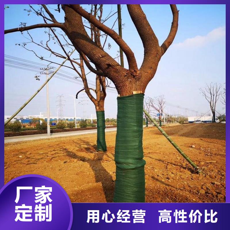 裹树布-【土工格室】厂家技术完善