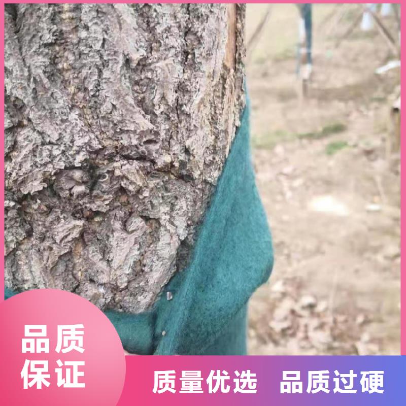 中齐橡胶支座【 裹树布土工布严选好货】28354.com