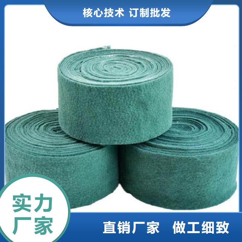 裹树布拉筋带把实惠留给您