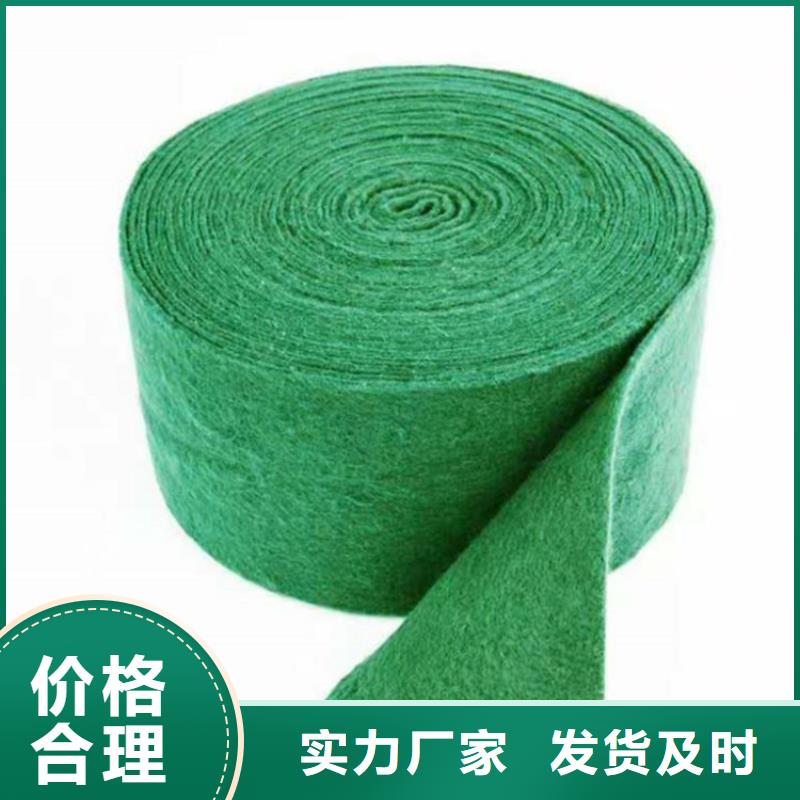 裹树布HDPE土工膜应用范围广泛