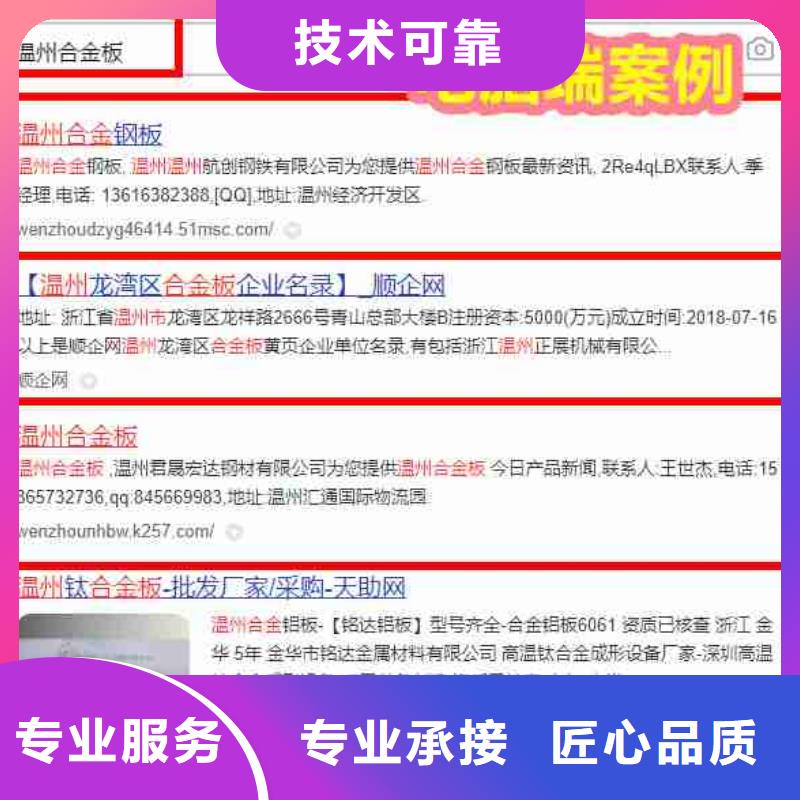 经验丰富【电脑端案例】-营销好评度高-28354.com