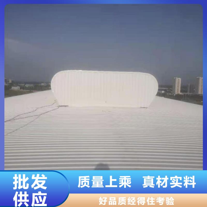 顺风通风器厂家