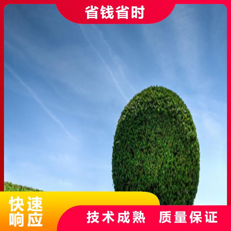工程预算工程造价解决方案