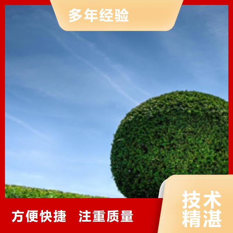 工程预算【工程预算】行业口碑好