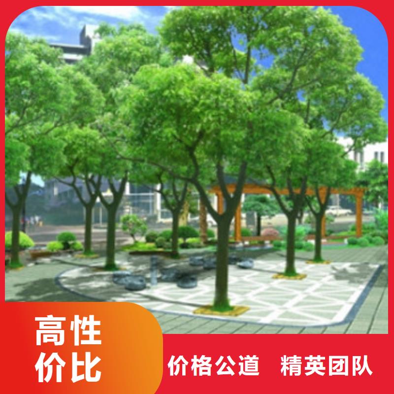 双城做预算造价分公司