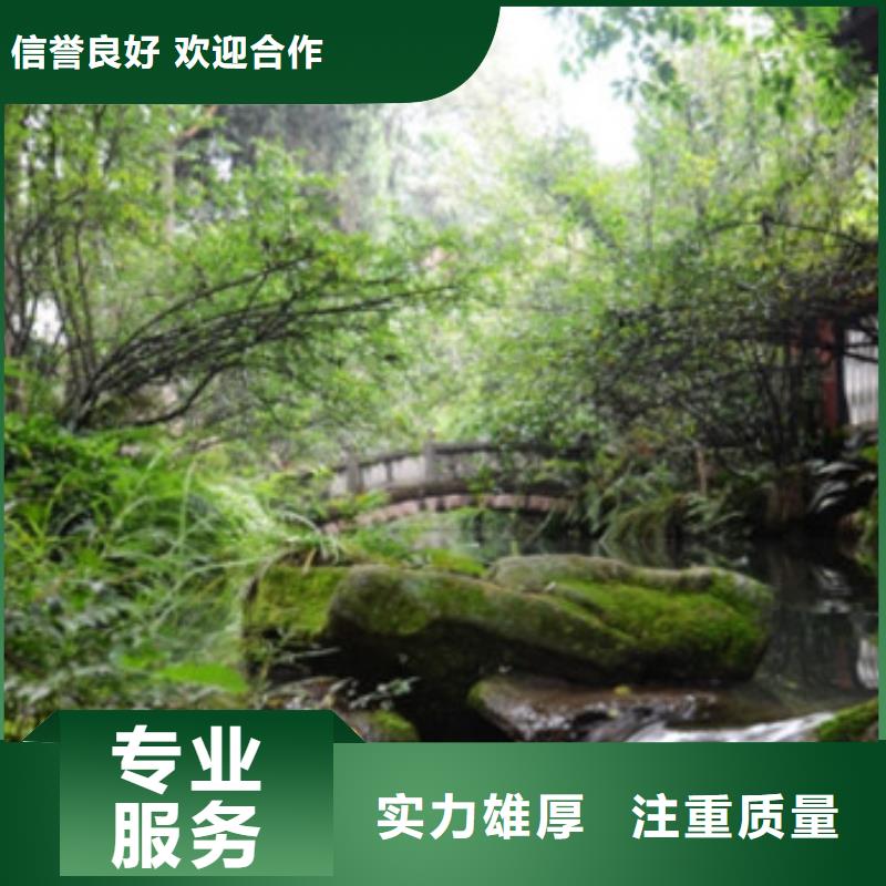 工程预算图纸设计专业品质