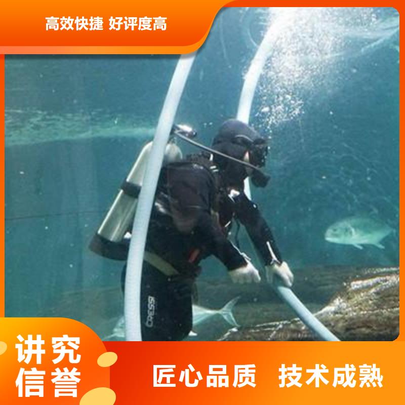 沙坪坝区水下打捞金项链值得信赖