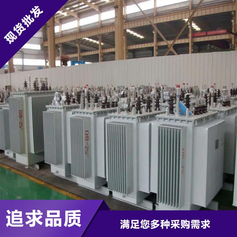 S13-m-250/10油浸式变压器-品质看得见