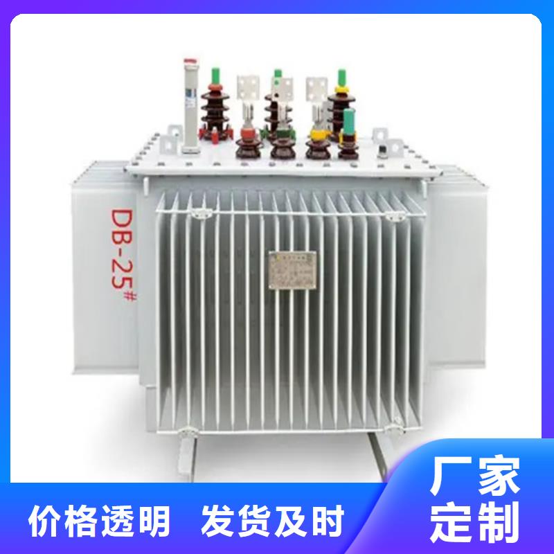 S20-m-160/10油浸式变压器参数图片