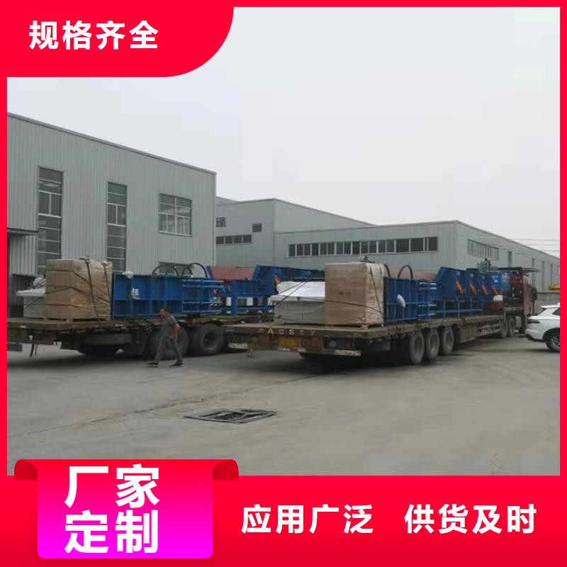 龙门剪废旧金属撕裂机库存齐全厂家直供