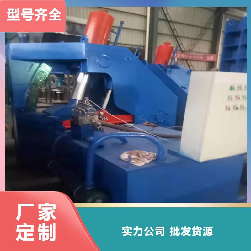 龙门剪液压废纸压包机厂家实拍展现